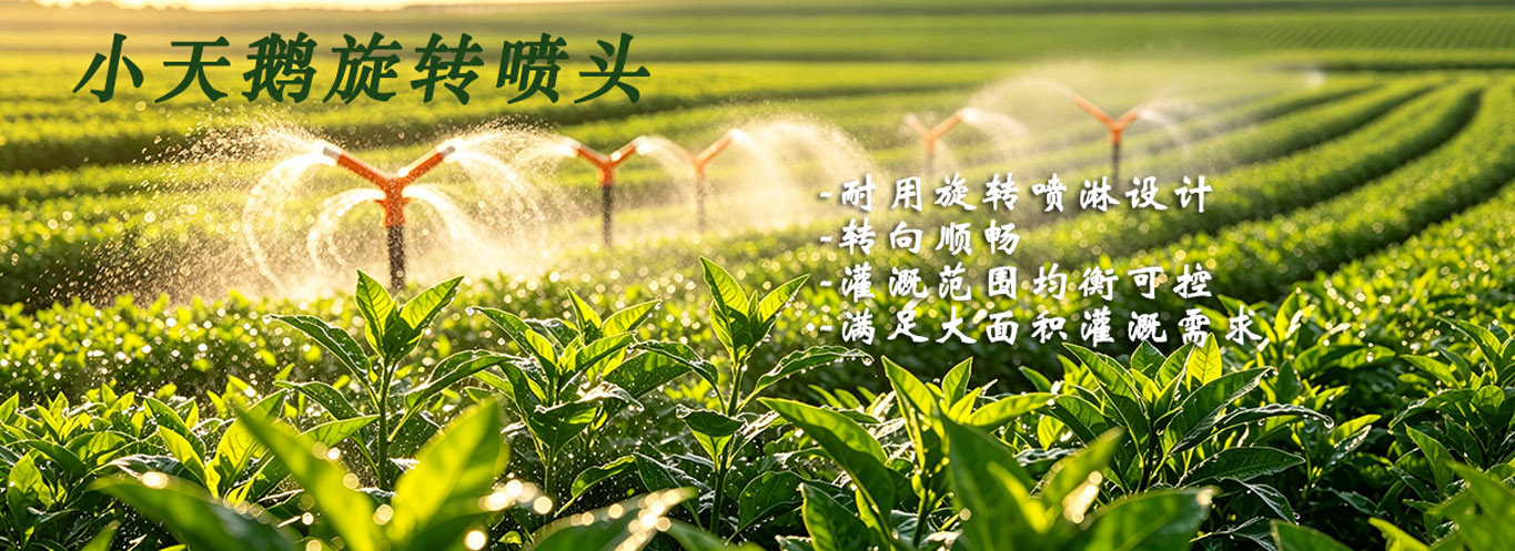 小天鹅喷头