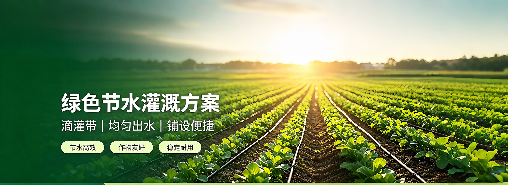 滴灌带