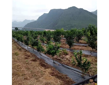 昭通果园灌溉