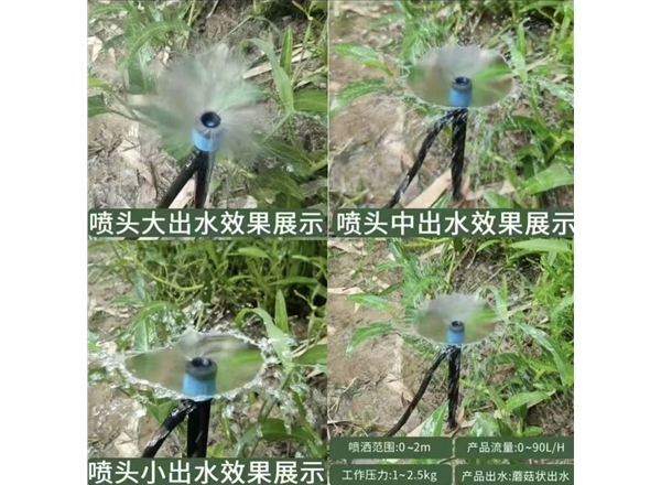 涌泉喷头