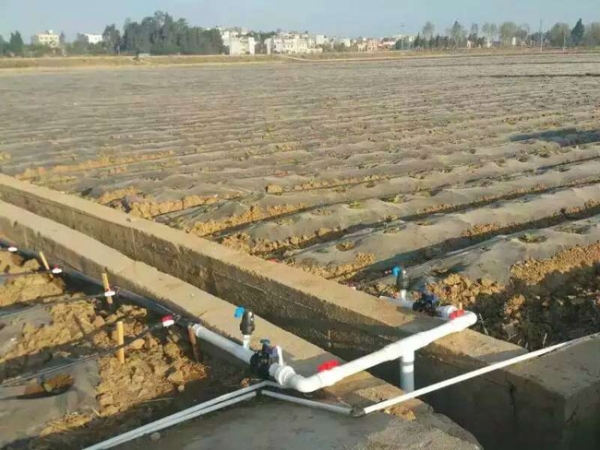  云南农业节水灌溉设备分享节水灌溉工程设计要求