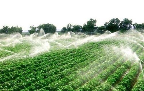 云南节水灌溉设备价格？