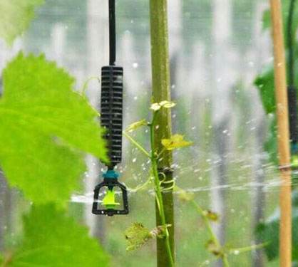 微喷节水灌溉方式
