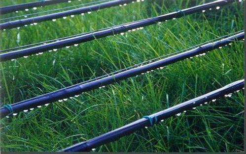 昆明农业节水灌溉设备-滴灌的应用
