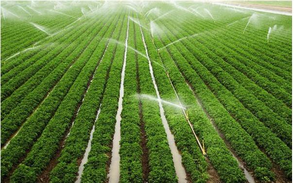 云南节水灌溉：滴灌技术与喷灌技术