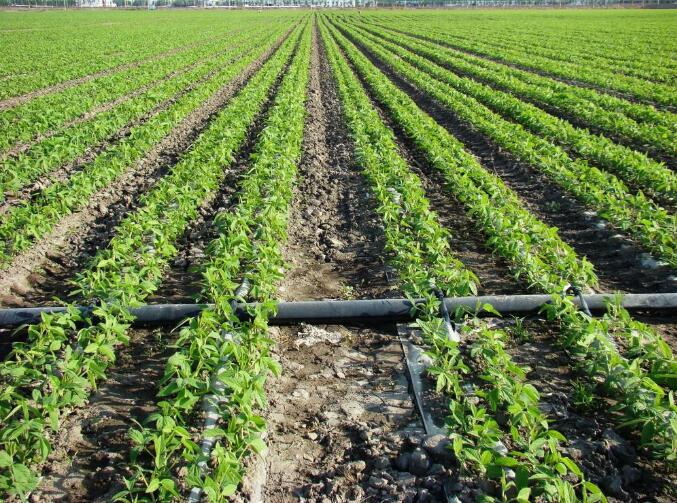 农业高效节水灌溉的三种主要模式 